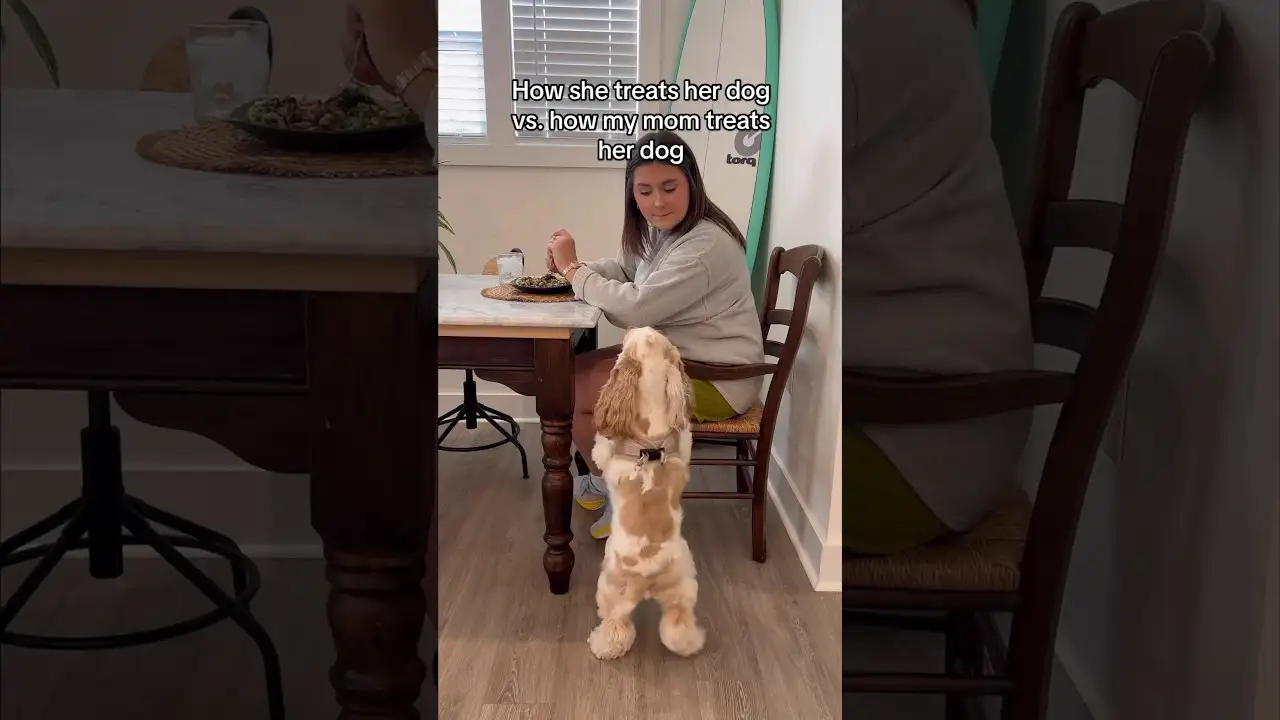 Other dogs vs. how my MEXICAN mom treats her dog! #mexican