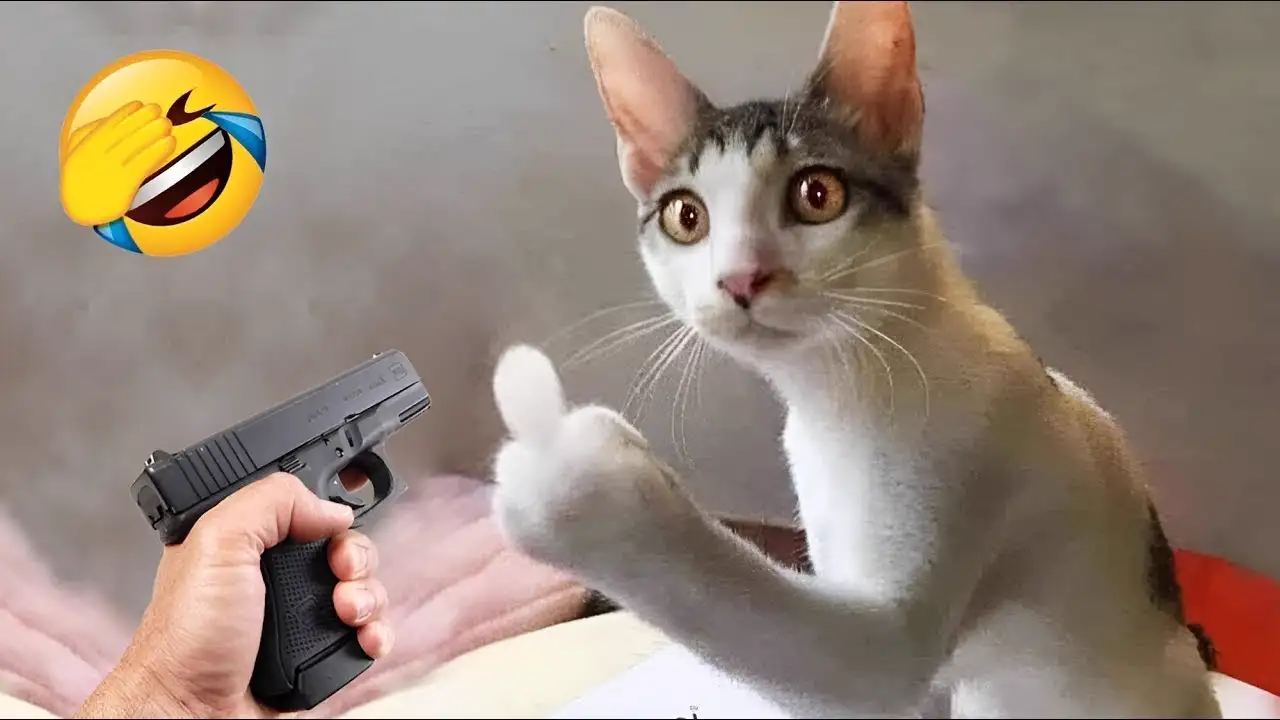 Funny animals will brighten your day instantly! π