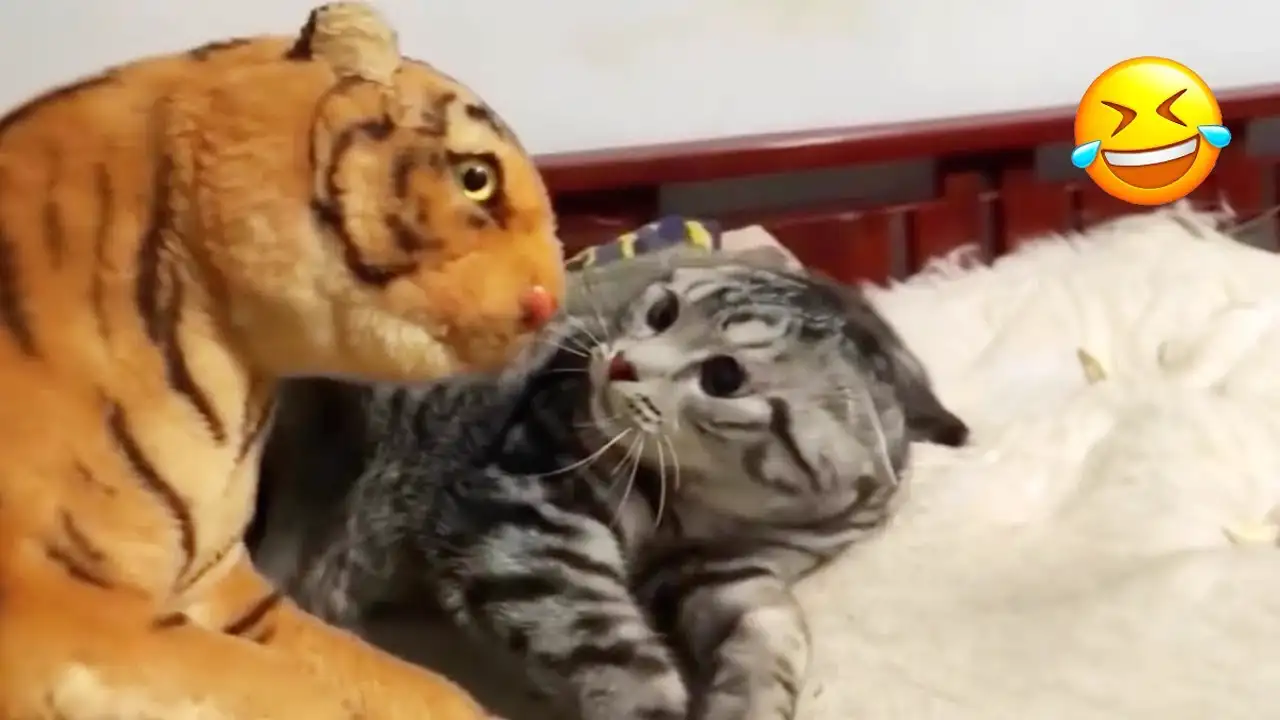 Brighten Your Day with These Hilariously Cute Animals! πΎπ±