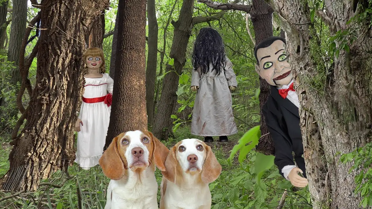 Dogs Find Scary Dolls in the Woods!